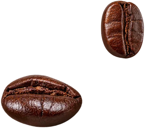 Roasted coffee beans