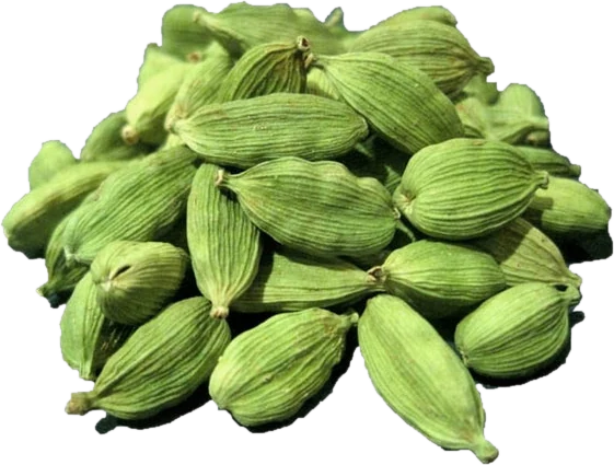 Green cardamom pods