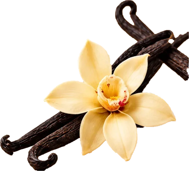 A vanilla pod and flower