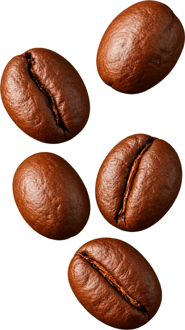 Peaberry Beans, Whole roasted beans